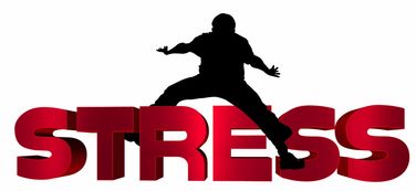 开云体育官网-NBA球员心理压力识别及干预技术研究，nba球员性格问题