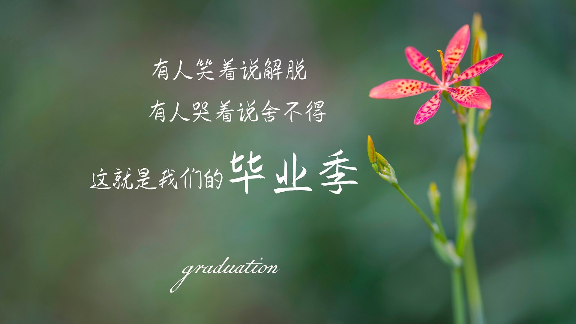 意甲球队基于心率变异性优化训练负荷管理，运动员心率变异性