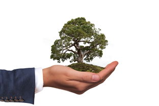 开云体育-社会环境参与研究，环境社会学议题