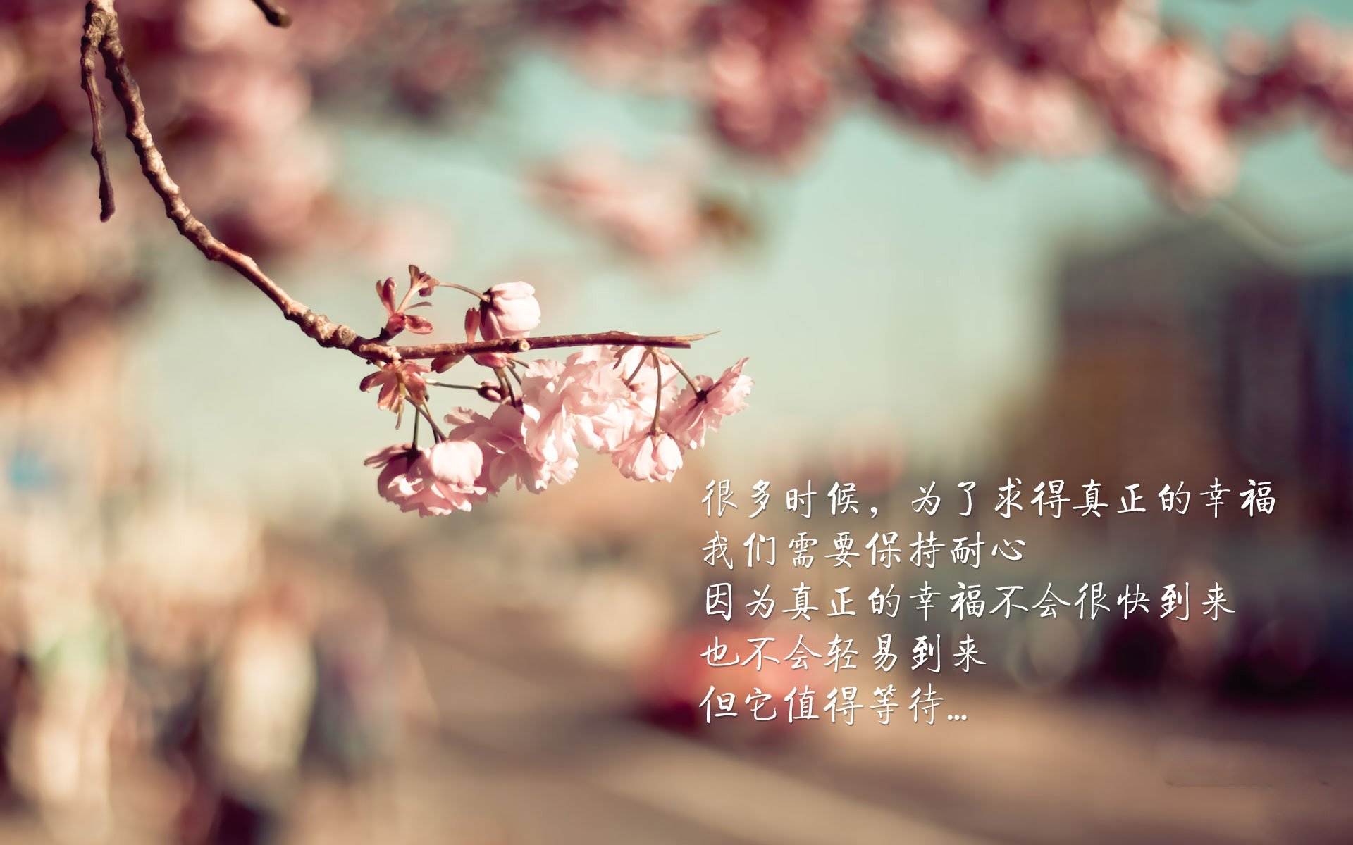 中国足球国家队攻防转换速度显著提高,中国足球最新改革方案